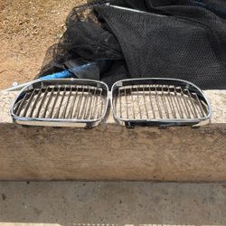 E92 Kidney Grills 