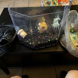 Fish tank and decoration