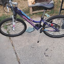 2 Girl Shwinn Mountain Bikes 