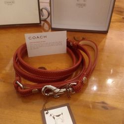 COACH dog Leash, Leather Leash 