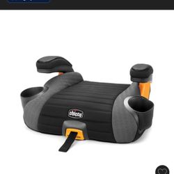 Chicco Booster And Seat Protector