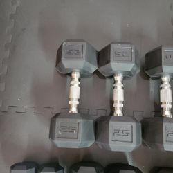 25lb Dumbbells