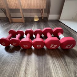 Dick’s Sporting Goods Fitness Gear Coated Dumbbell