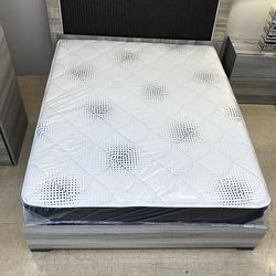 Queen Size Mattress 12” Inches Thick Plush Firm New From Factory Wrapped in Plastic Also Available: Twin, Full And King Same Day Delivery 