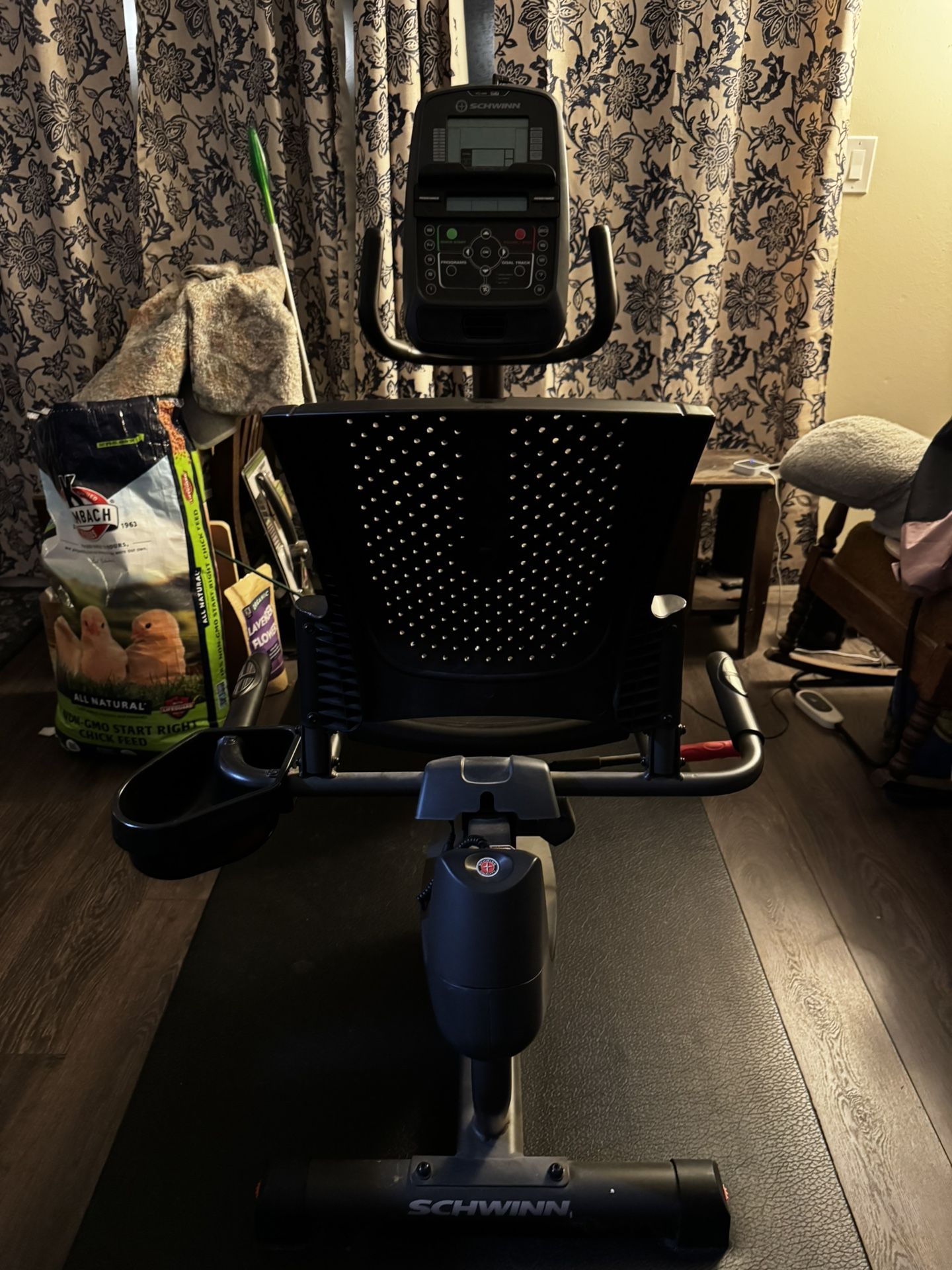 Schwinn Recumbent Bike