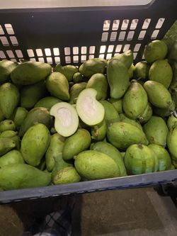 Mango verde tierno $10 por libra