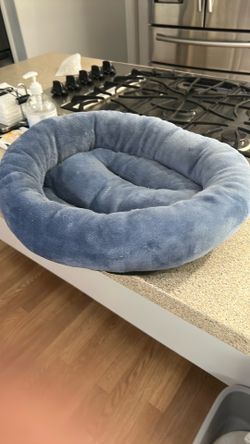Kitty Bed - Blue - Used Very Little -