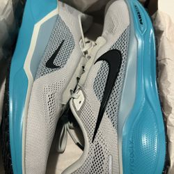 Nike Air Zoom Pegasus 41 FD2722 102. Size 10 