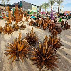 🌵Rustic & Painted styles agaves, barrel cactus🪷+ POTTERY🌹