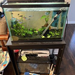 Aquarium With Stand And Accessories
