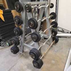 Fixed ez curl barbells with freemotion storage rack gym equipment exercise weights