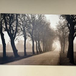 Tree Picture 