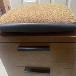 Upholstered Non-Slip 2.5” Padded File Cabinet Seat Cushion, Leaf Pattern