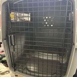 Dog Kennel 