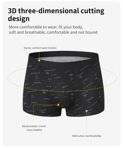 Boxer Briefs Small Graphics 