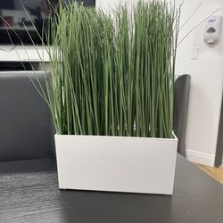 ARTIFICIAL GRASS PLANT