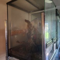 Terrarium 