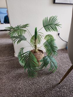 Fake plants