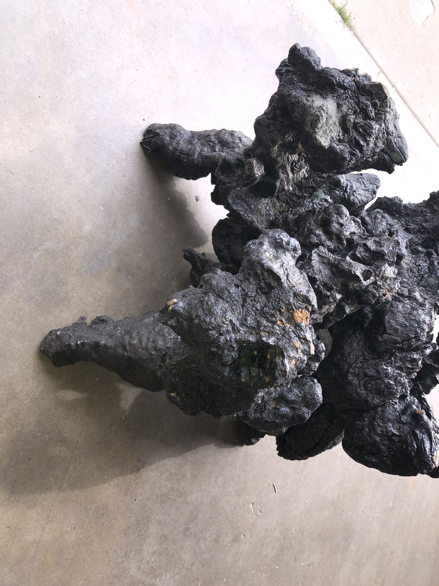 glass top WOOD ROOT TREE ROOT BURNT BLACK TABLE This is a pretty ridiculously amazing wood root tree root burnt black coffee table/end table If yo