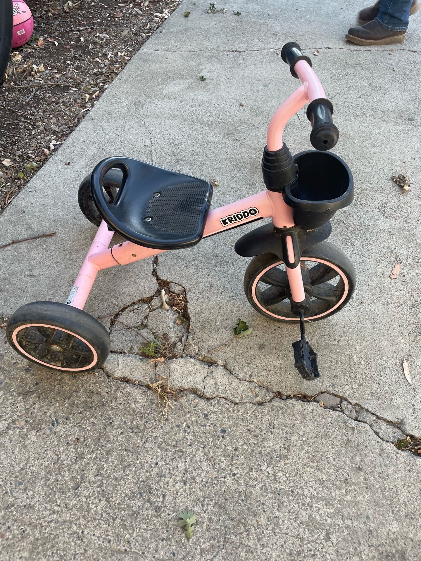 Toddler bike