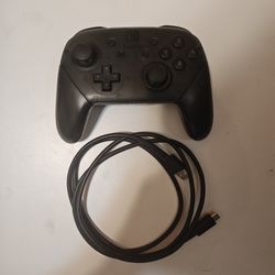 Nintendo Switch Pro Controller