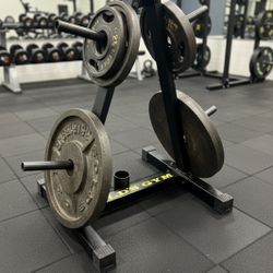 Golds Gym iron Plates ****FREE DELIVERY****