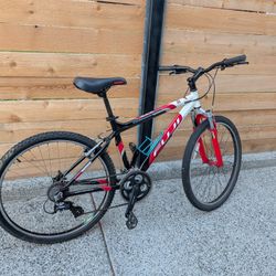 Fuji Bike