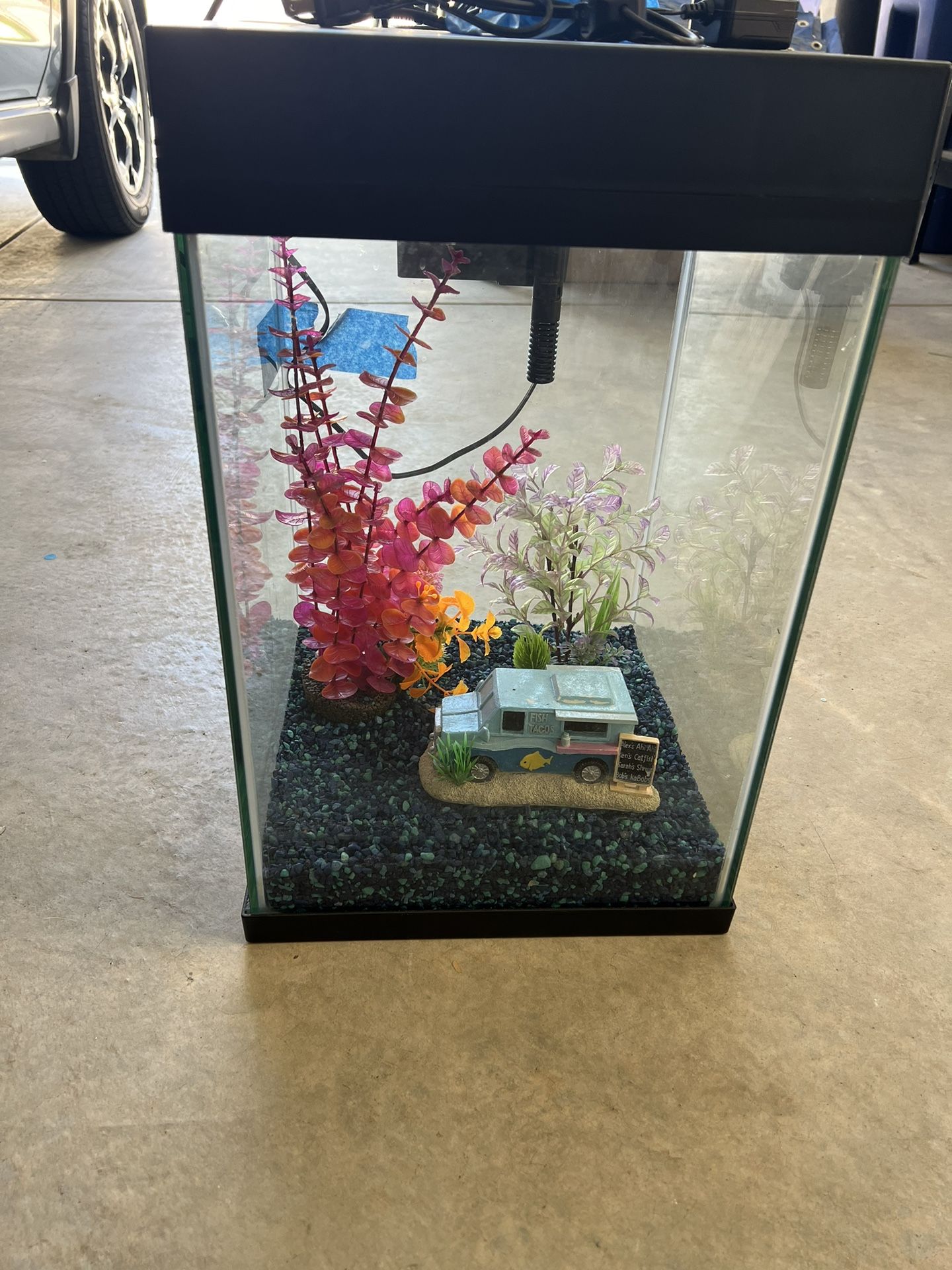 Fish Aquarium