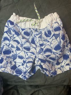 Boys Swim Trunks 2t