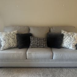 Lite Gray Couch