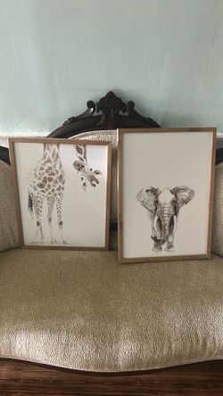 Pictures