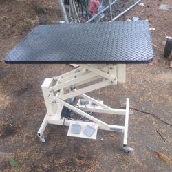 Grooming Table