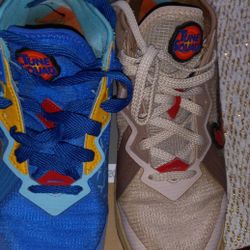 Nike LeBron 18 Low Wile E. Vs Roadrunner 