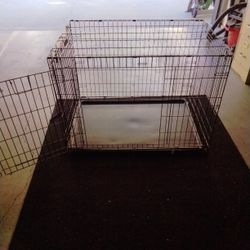 Dog Kennel 