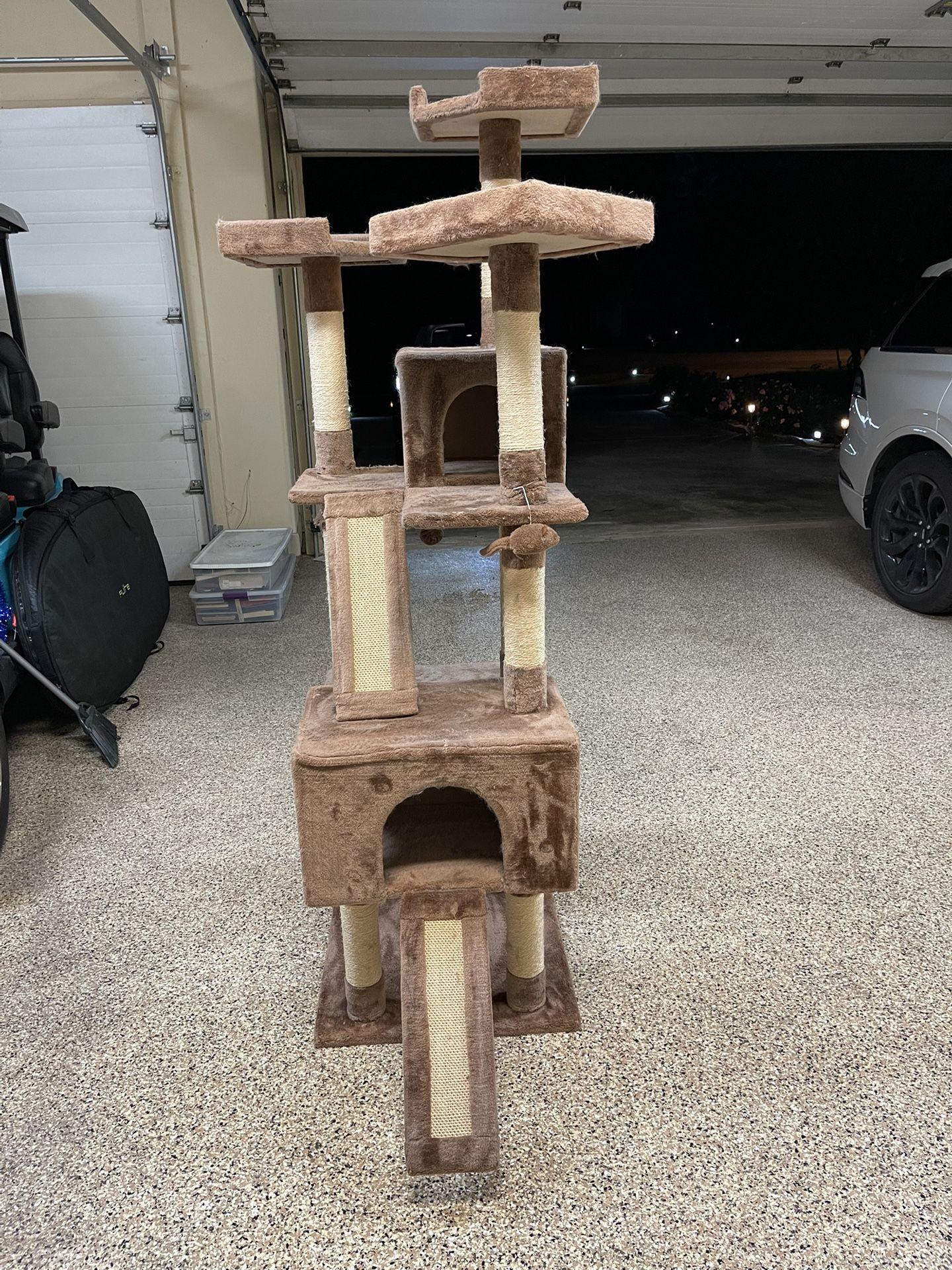Cat Climbing Post