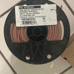 Thermostat Solid 250 Ft