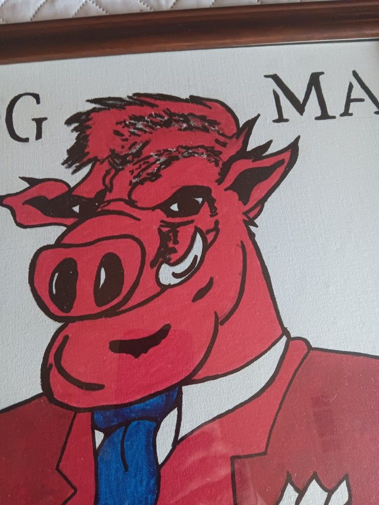 Razorback Framed Painting