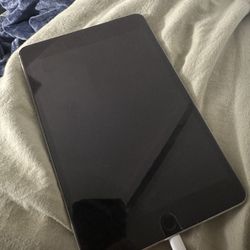 Ipad Mini 4 