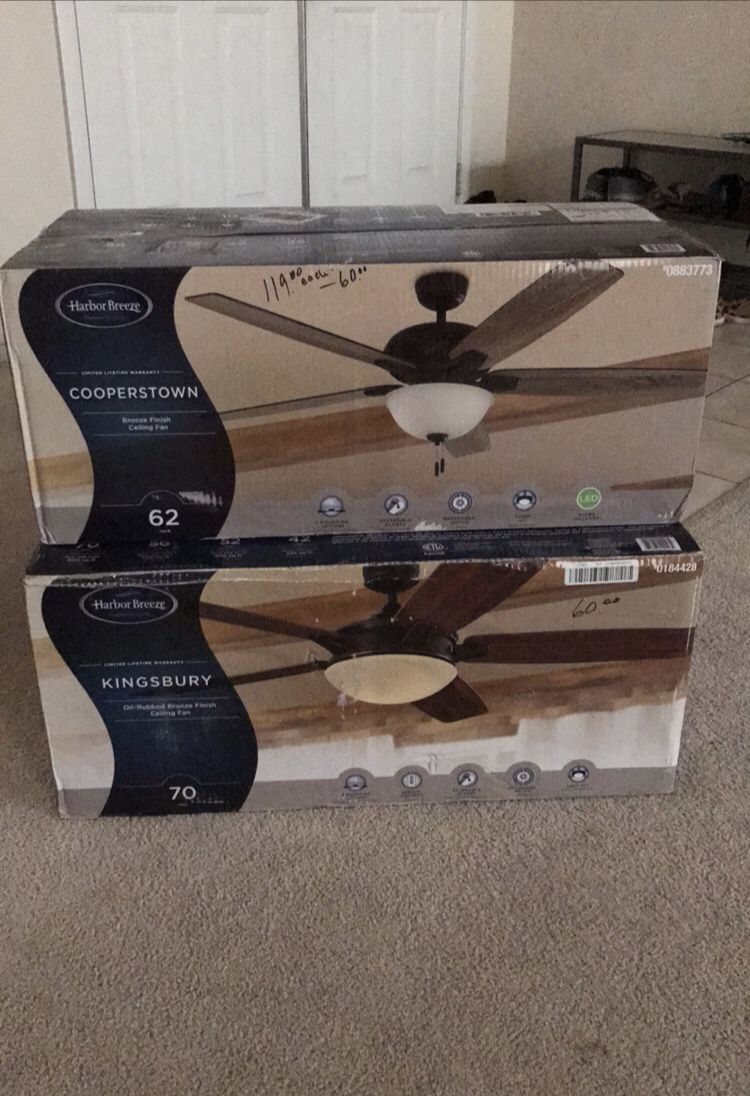 Light and ceiling fan
