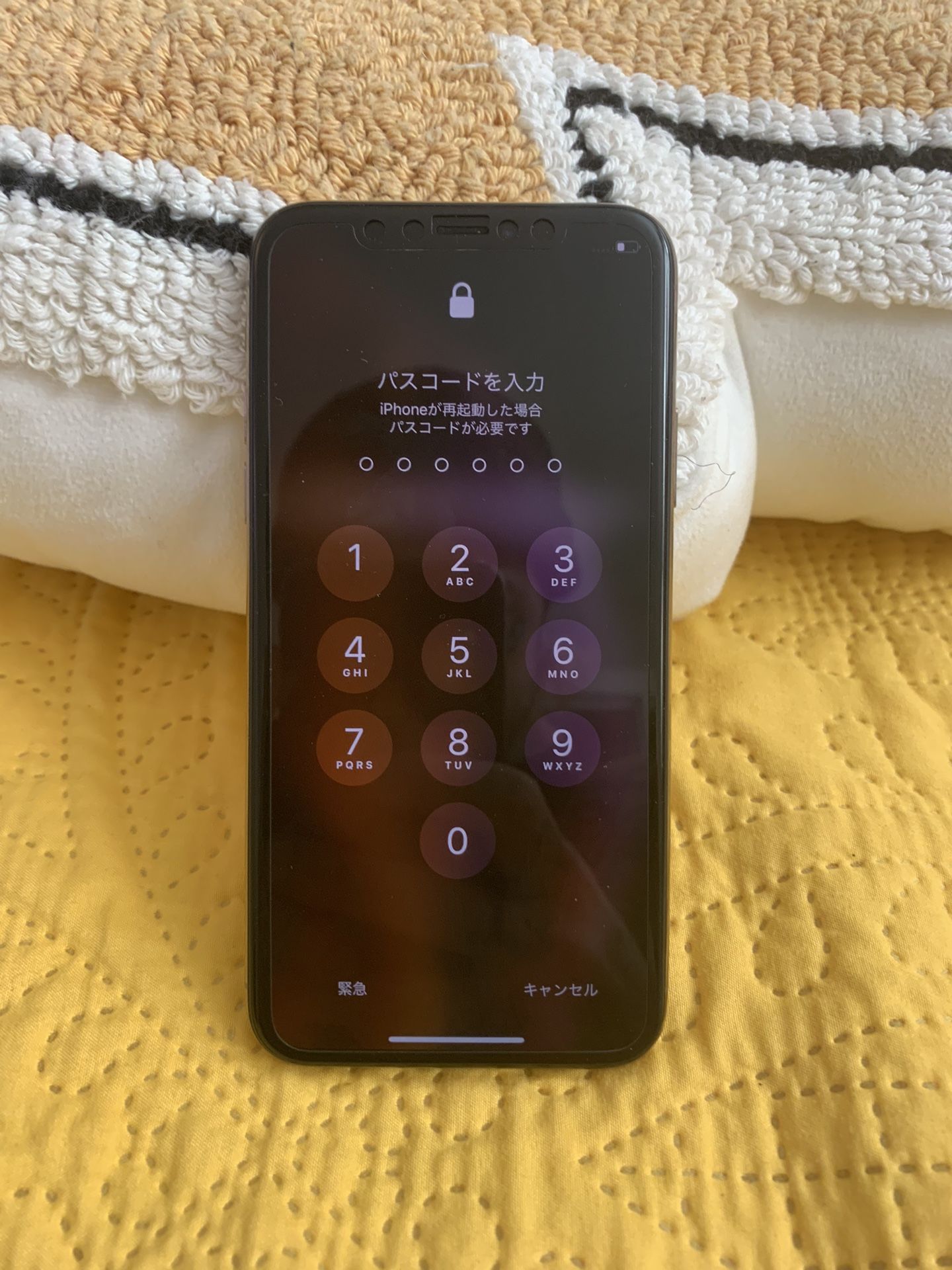 LOCKED iPhone X