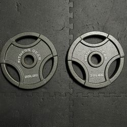 2 x 25 Pound Weights 