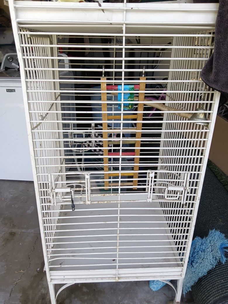 Bird Cage