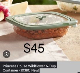 Princess house 6qt storage container