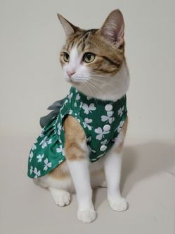 Green St. Patrick's Day Themed Dog/Pet Dress Size Medium