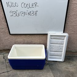 Igloo Cooler 