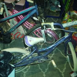 2 Kids Bikes Only The Pink And Purple One