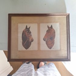 Vintage Horse Photo