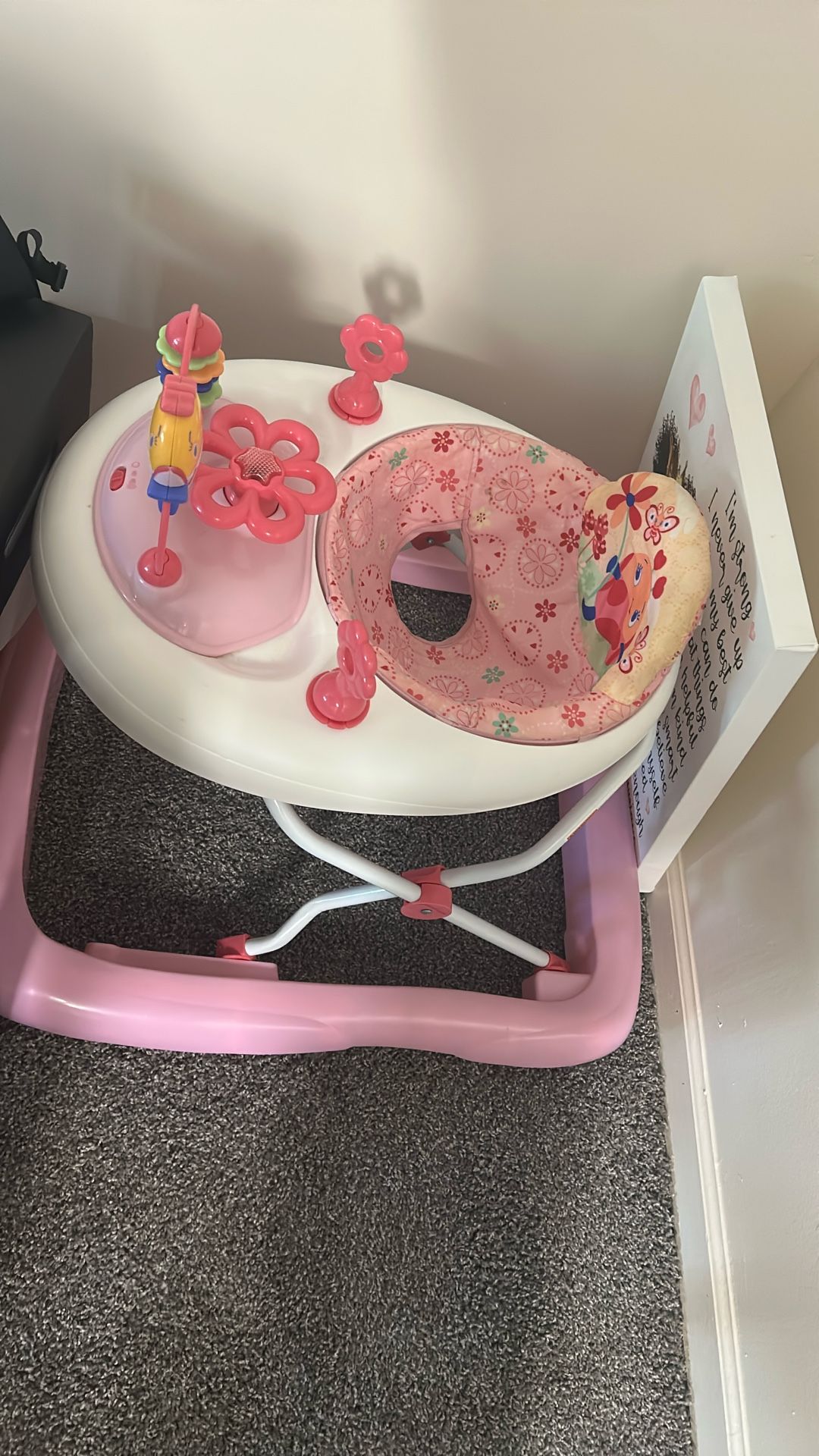 Baby Walker
