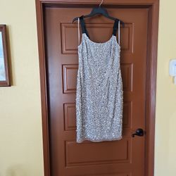 Silver sequin party dress.