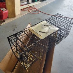 Small animal trap